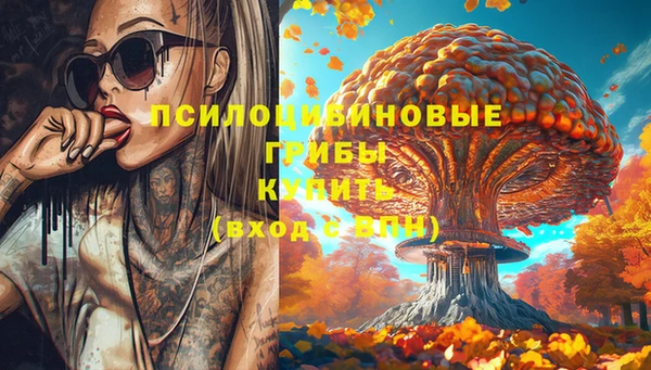 метадон Ладушкин