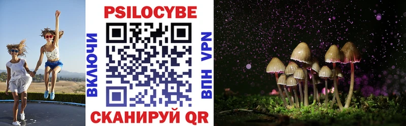 darknet Telegram  Называевск  Галлюциногенные грибы Psilocybe 